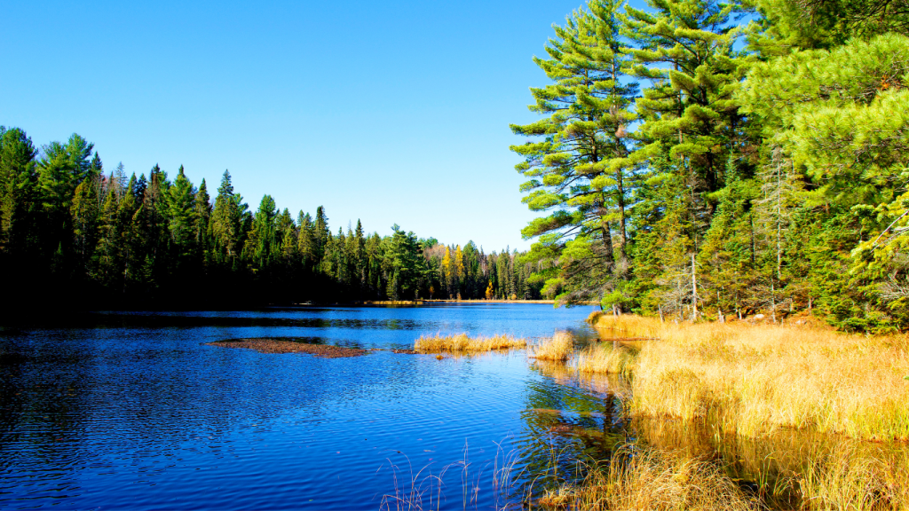 Calgary to Montreal drive The ultimate road trip guide Algonquin Provincial Park