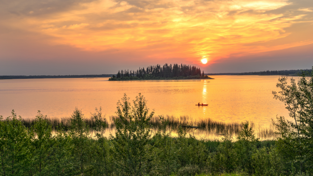 Edmonton to Saskatoon drive The ultimate road trip guide Elk Island National Park