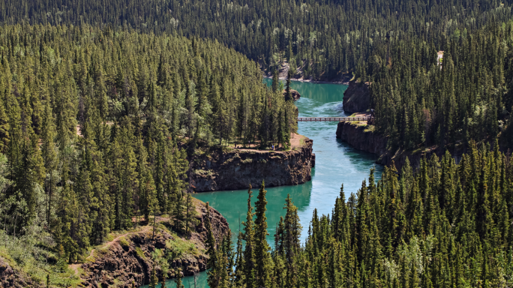 Vancouver to Whitehorse drive The ultimate road trip guide Miles Canyon & Schwatka Lake