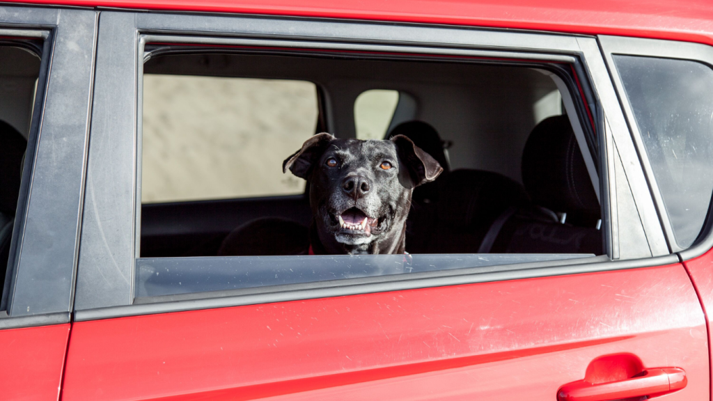 The best rental cars for can’t-miss activities in L.A.