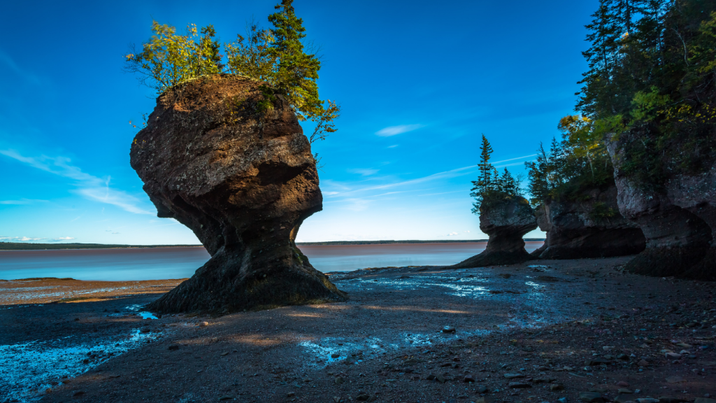Toronto to Charlottetown drive: The ultimate road trip guide: Hopewell Rocks Provincial Park.