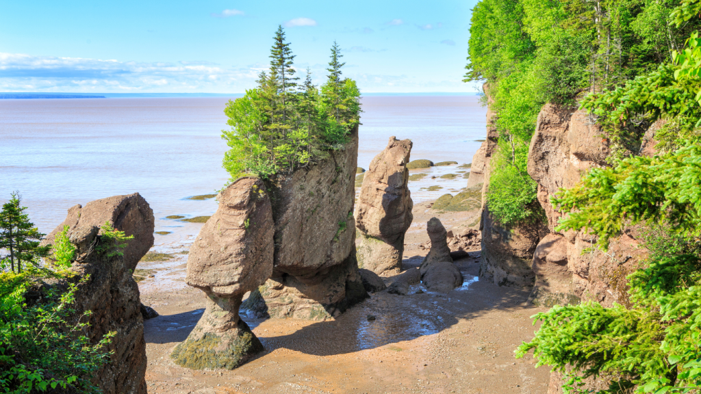 Toronto to St. John’s drive: The ultimate road trip guide: Hopewell Rocks Provincial Park, New Brunswick.