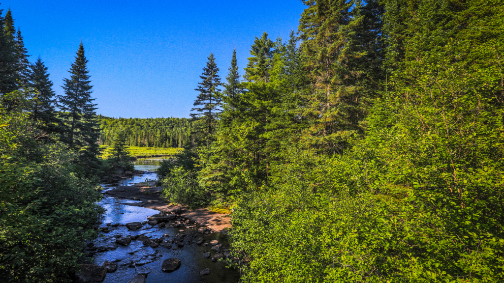 Ottawa to Quebec City drive: The ultimate road trip guide: Parc national de la Mauricie.
