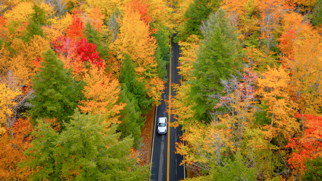 The best rental cars in Toronto for a road trip to Nashville.