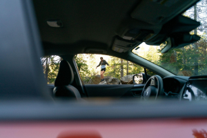 Toronto to St. John’s drive: The ultimate road trip guide