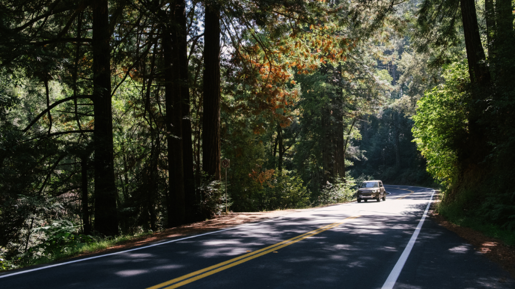 Get ready for the ultimate road trip to New Orleans, Louisiana.