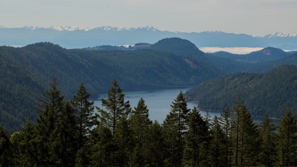 Nanaimo to Victoria drive: The ultimate road trip guide: Malahat Skywalk.