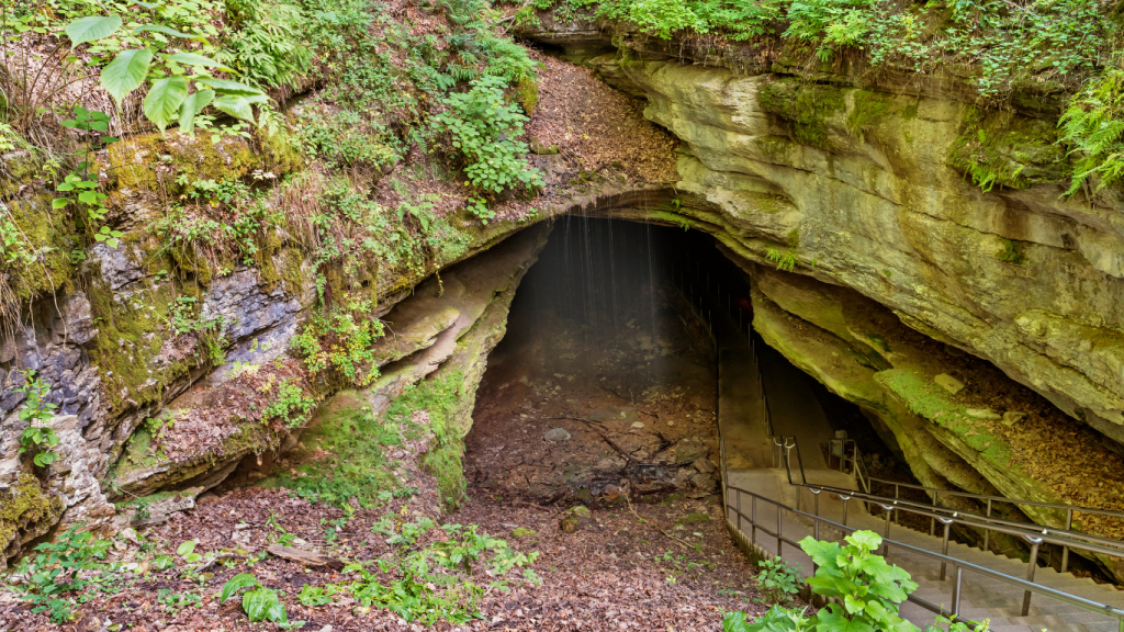Toronto to New Orleans drive: The ultimate road trip guide: Mammoth Cave National Park, Kentucky.