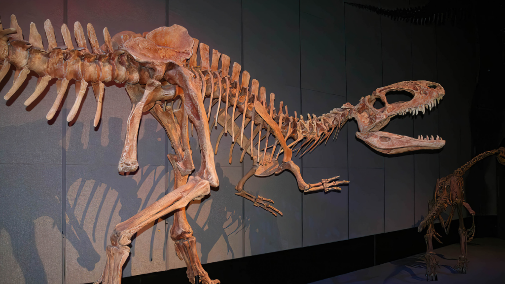 Calgary to Charlottetown drive: The ultimate road trip guide: Royal Tyrrell Museum, Drumheller, AB.