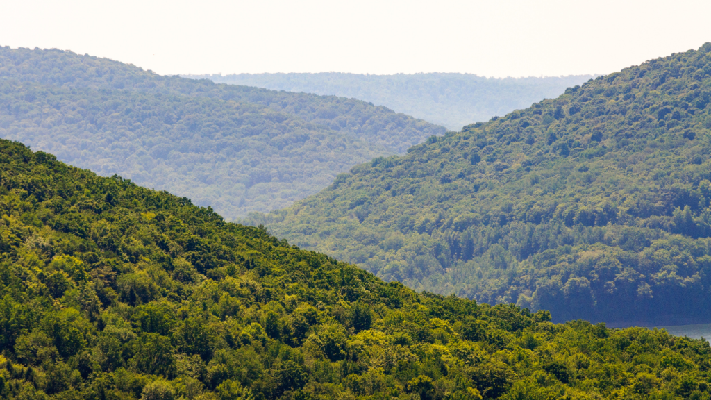Toronto to Pittsburgh drive: The ultimate road trip guide: Allegheny National Forest, Pennsylvania.