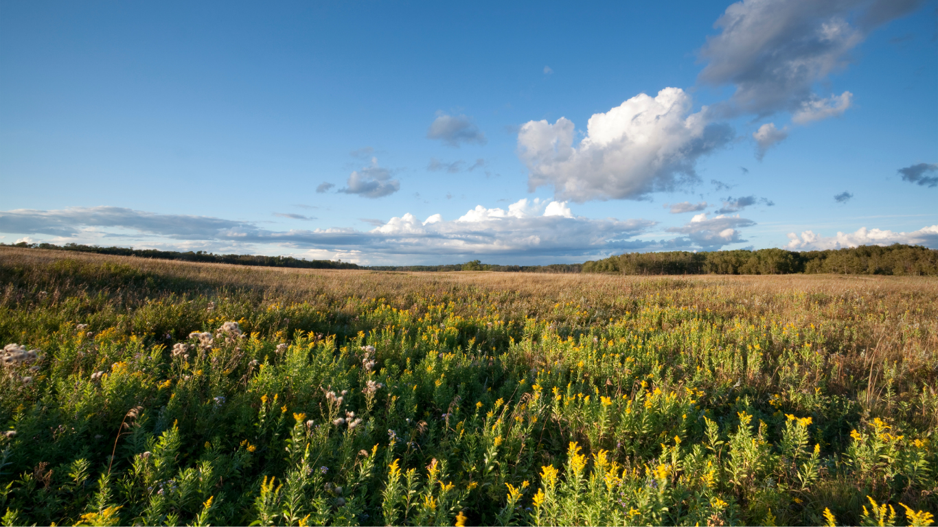 Edmonton to Chicago drive: The ultimate road trip guide: Riding Mountain National Park, Manitoba.