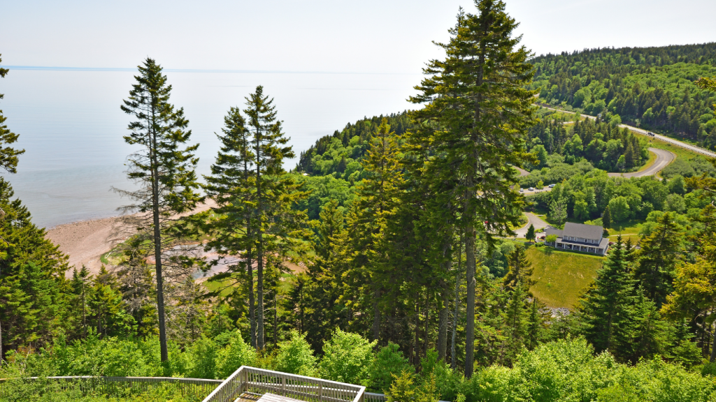 Fredericton to Moncton drive: The ultimate road trip guide: Fundy Trail Provincial Park.