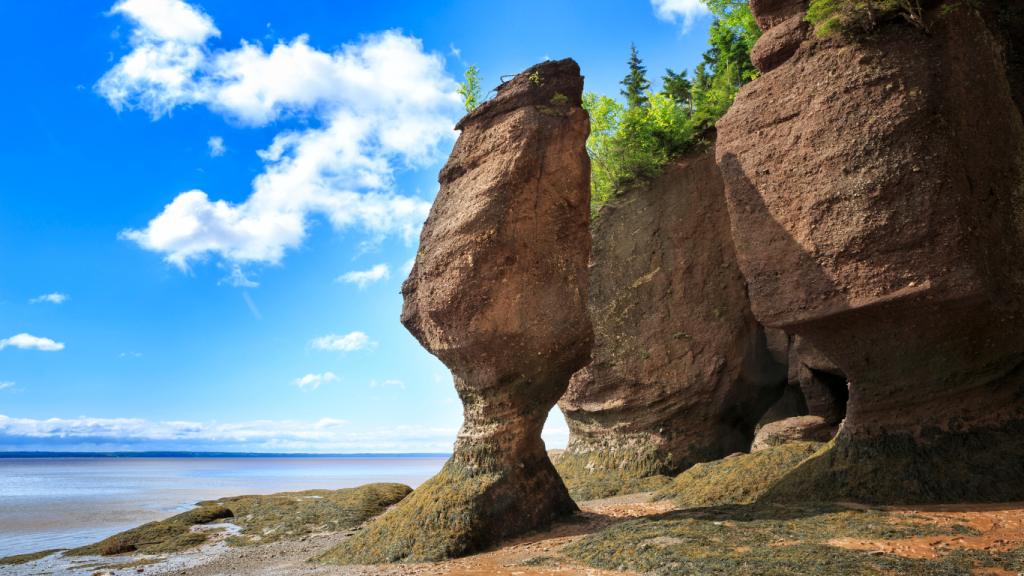 Fredericton to Moncton drive: The ultimate road trip guide: Hopewell Rocks