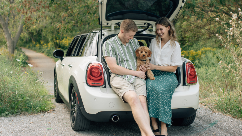 Browse Turo for the best car rentals for the Toronto to Myrtle Beach drive.