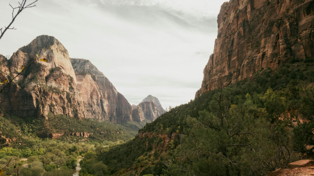 Calgary to San Diego drive: The ultimate road trip guide: Zion National Park, Utah.
