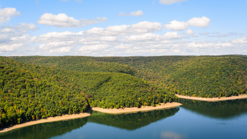 Toronto to Myrtle Beach drive: The ultimate road trip guide: Allegheny National Forest, Pennsylvania.