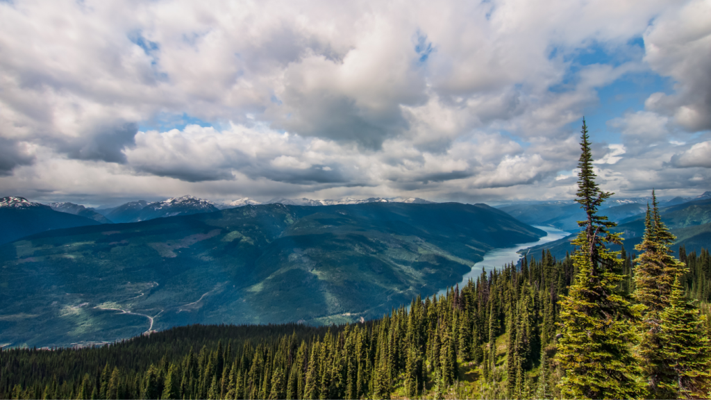 Vancouver to Revelstoke drive: The ultimate road trip guide: Mount Revelstoke National Park.
