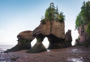 Moncton to Charlottetown drive: The ultimate road trip guide: Hopewell Rocks, New Brunswick.