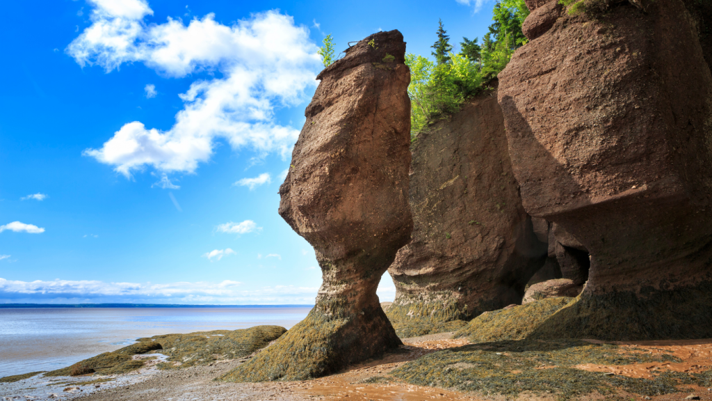 Moncton to Charlottetown drive: The ultimate road trip guide