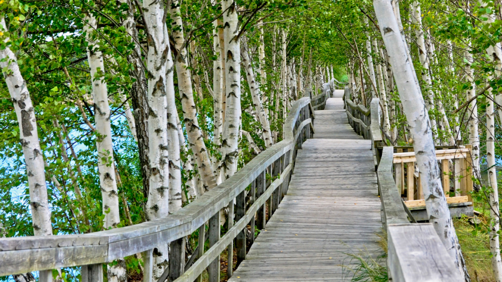 Moncton to Charlottetown drive: The ultimate road trip guide: Sackville, New Brunswick