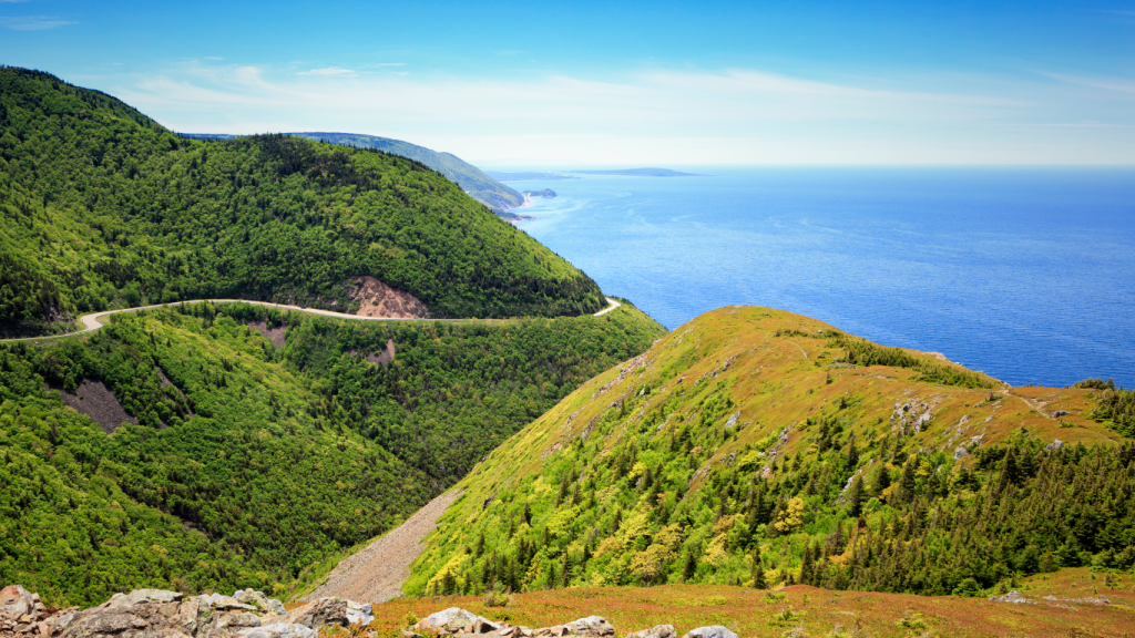St. John’s to Halifax drive: The ultimate road trip guide: Terra Nova National Park, Newfoundland and Labrador.