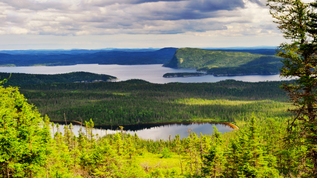 St. John’s to Halifax drive: The ultimate road trip guide: Cape Breton Highlands National Park, Nova Scotia