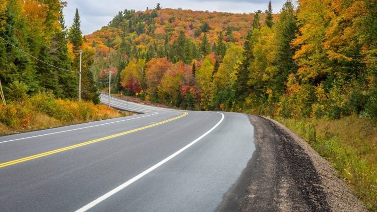 Fall colours in Ontario: The best scenic drives and road trips