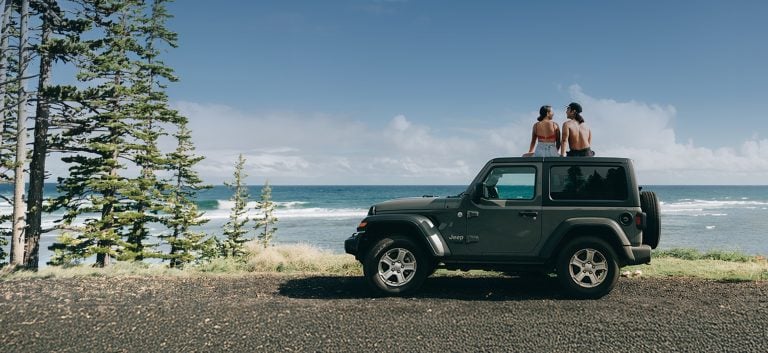 A man and woman sit on top of their green SUV overlooking the ocean.