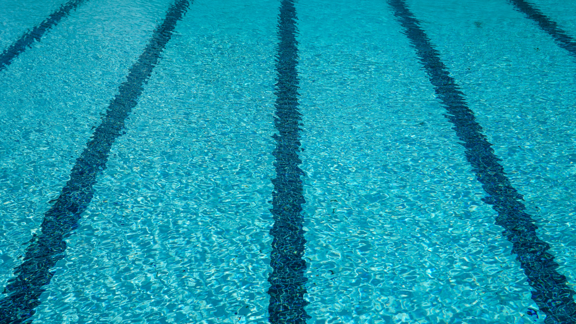 10 best lidos