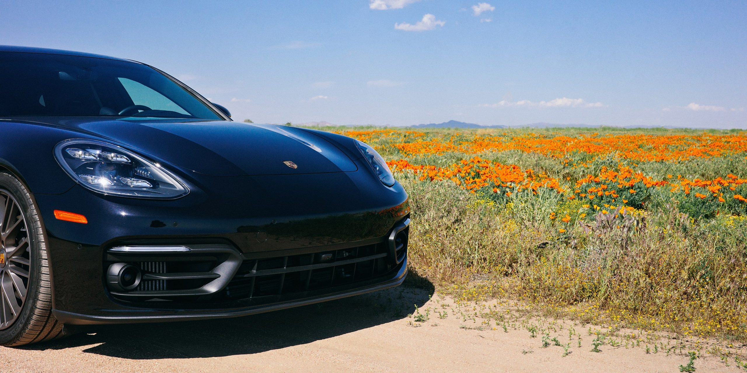 Porsche in spring meadow