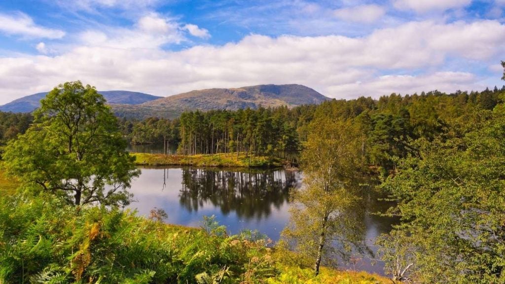Tarn Hows in the Lake District, UK