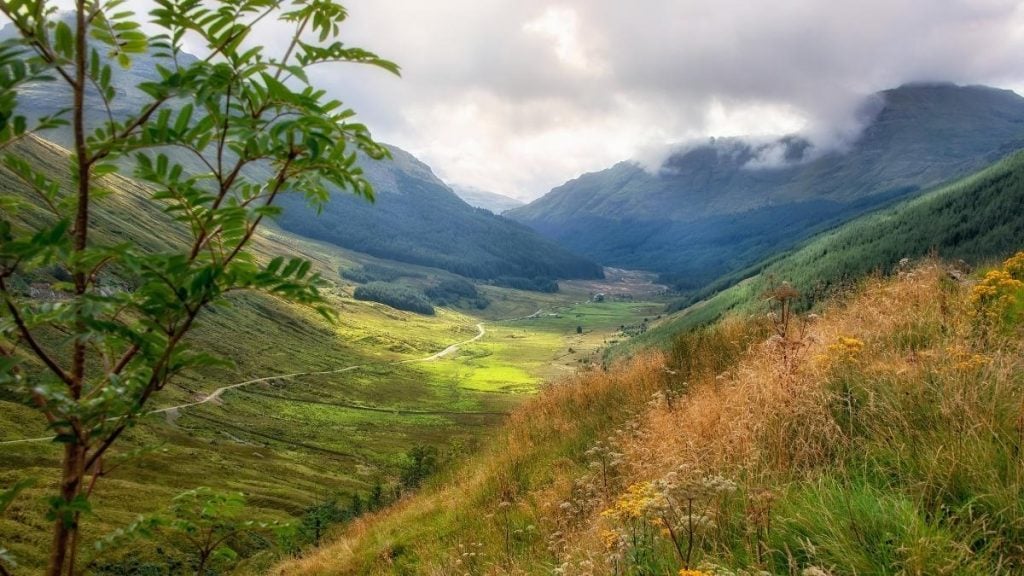 Argyll Forest Park near Arrochar, Scotland