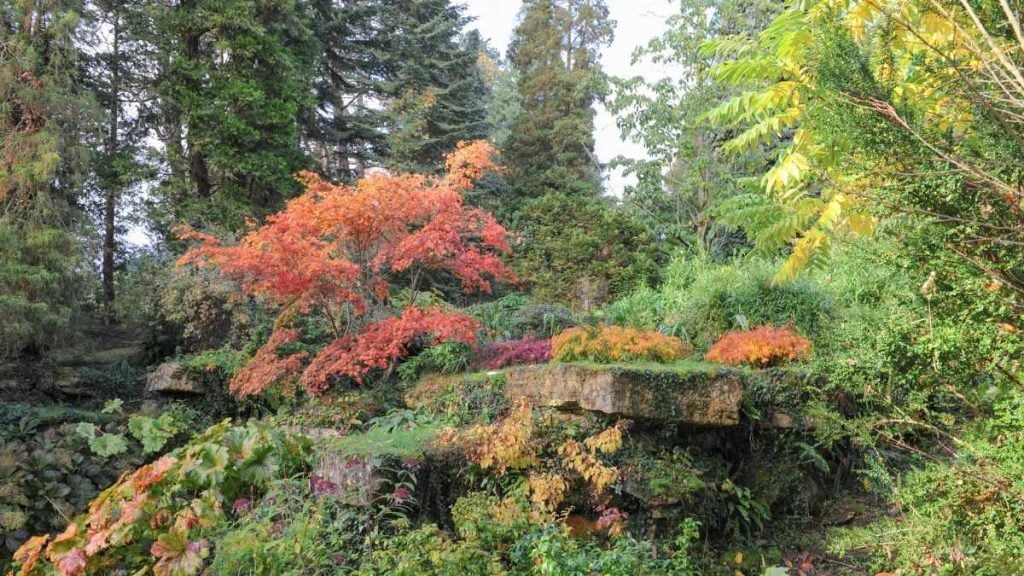 Batsford Arboretum