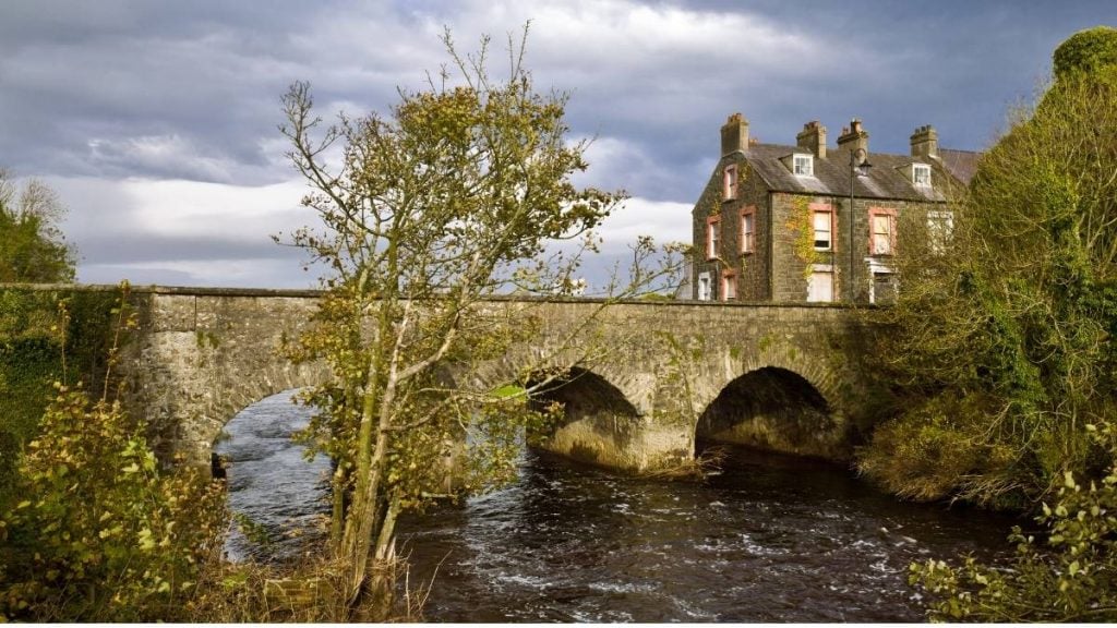 Bushmill in Ireland