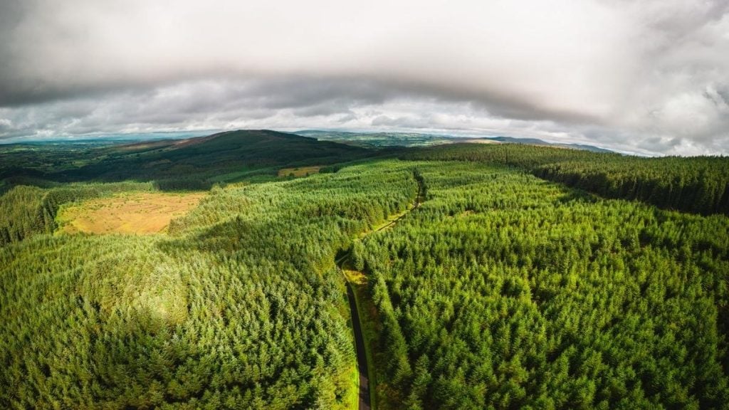 Gortin Glen Forest Park near Omagh in Ireland