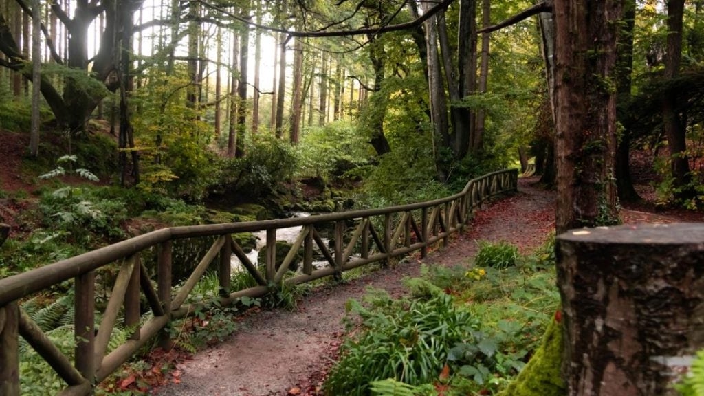 Tollymore Forest Park