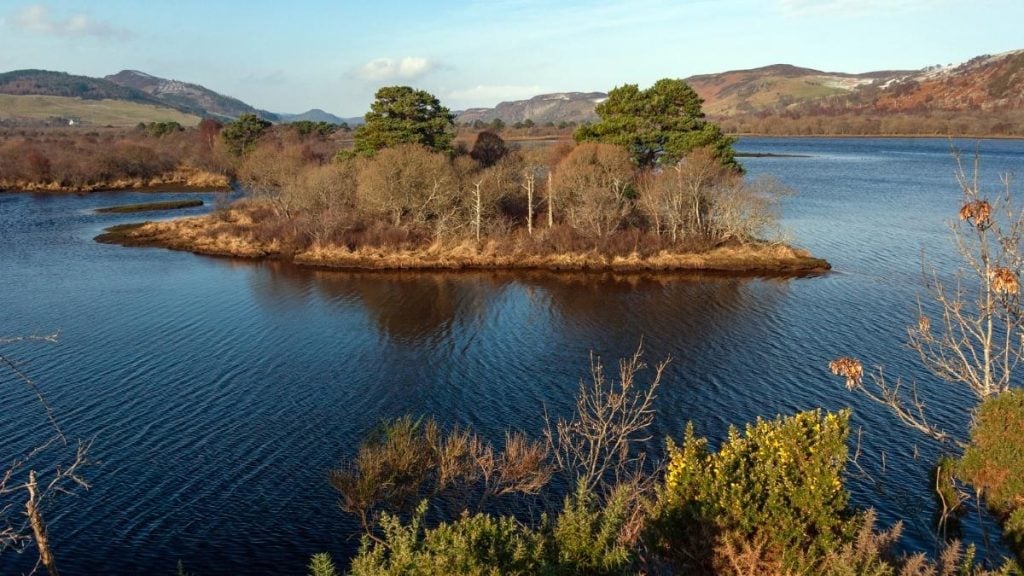 Loch Fleet, Sutherland, Scotland