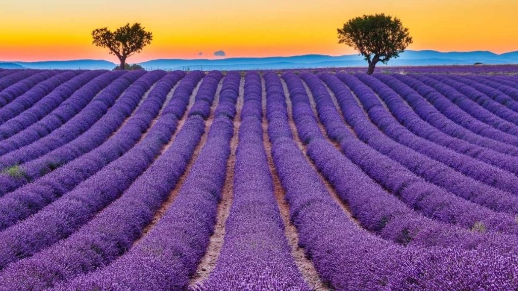 Provence, France