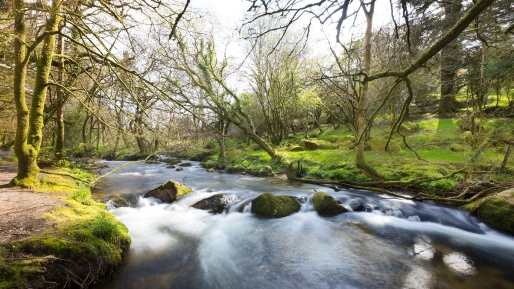 Golitha Falls, Cornwall, England