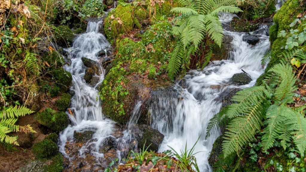 Luxulyan Valley, Cornwall, England