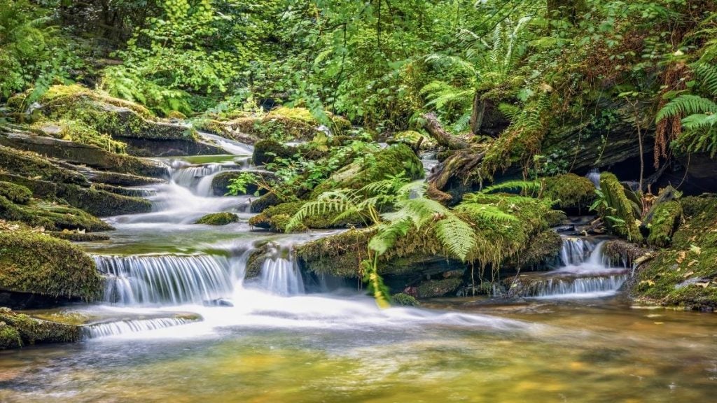 River Trevillet flowing through St Nectan's Glen in Cornwall