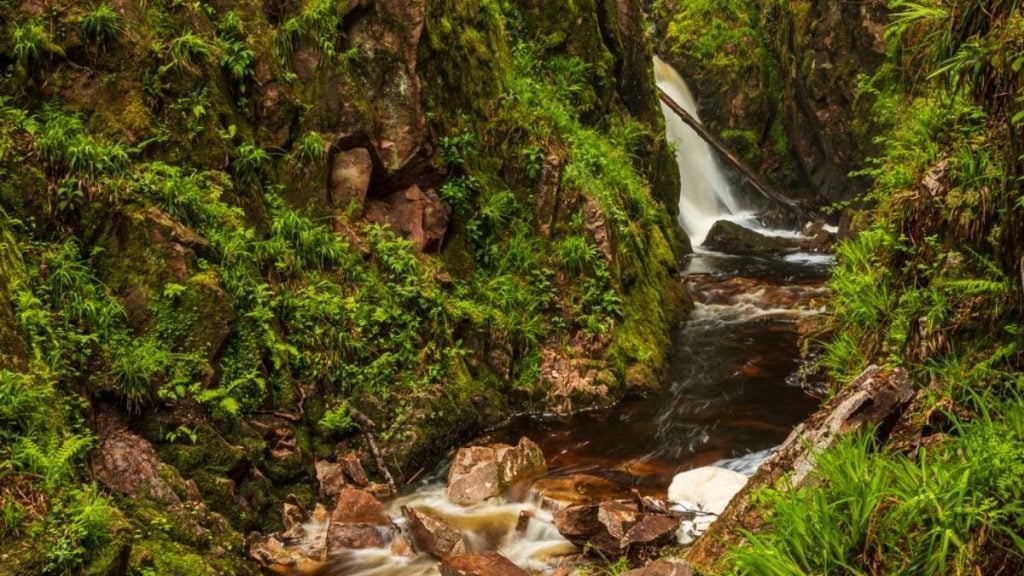 Stanley Ghyll Force, Lake District, England