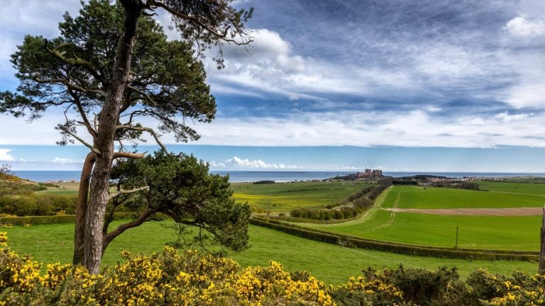 Exploring the Northumberland 250. (In Photo: Bamburgh Castle)
