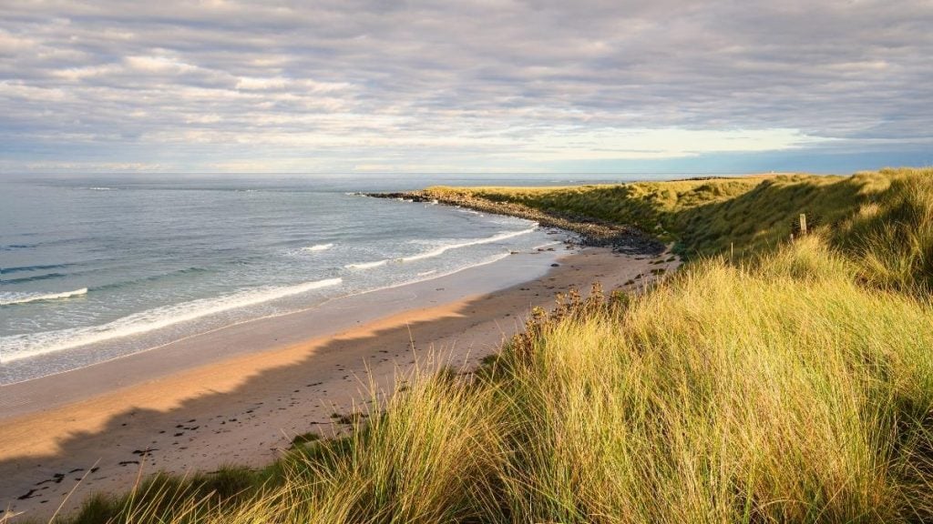 Beadnell Bay has golden sands, calm water, and small harbour with fishing boats, Northumberland, England