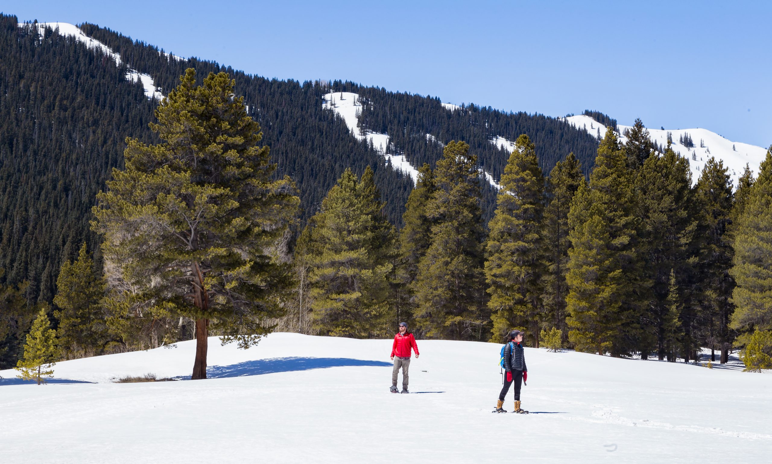Travelogue Snowshoeing in Crested Butte Field Notes The Turo blog