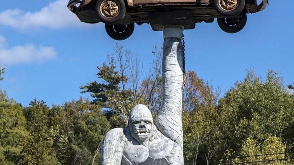Gorilla holding a VW, Leicester, Vermont