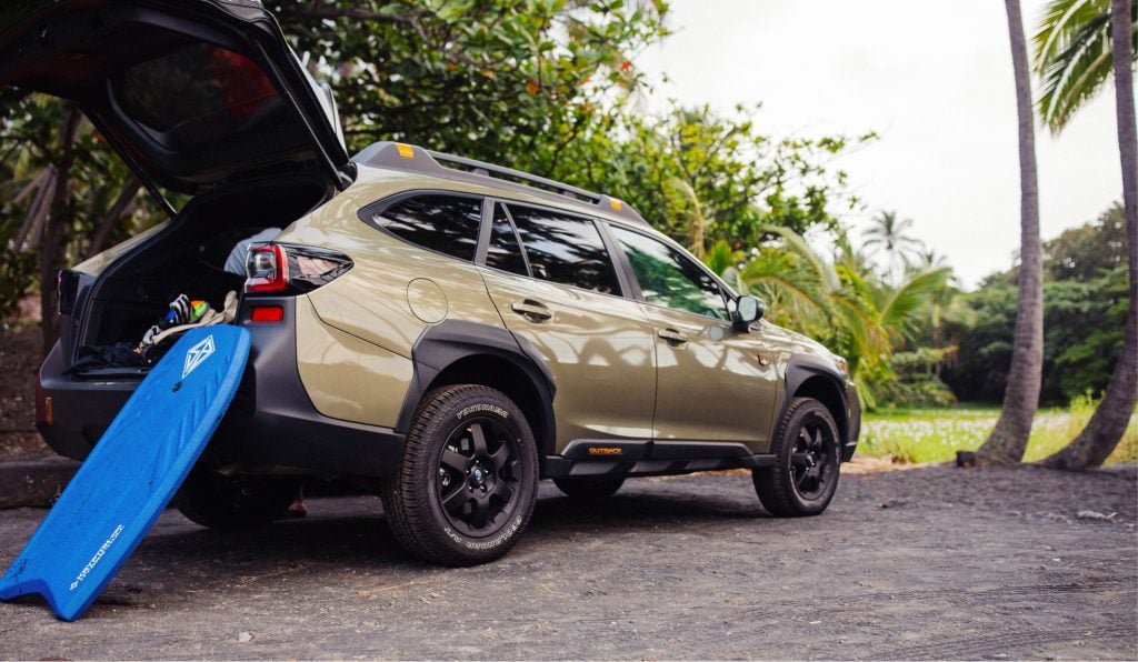 The Big Island erupts with life Field Notes The Turo blog