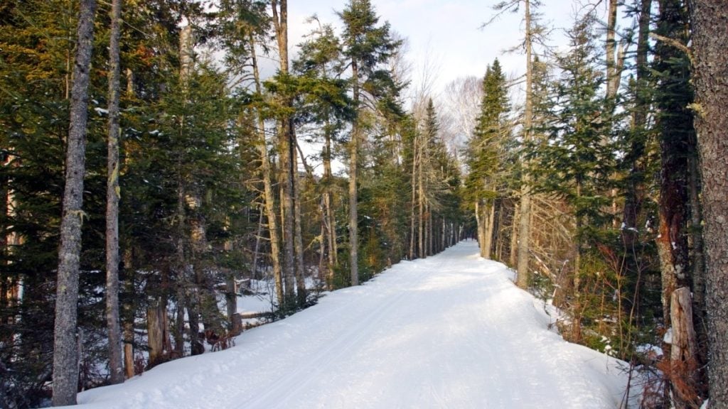 Bretton Woods Ski Area, Bretton Woods, New Hampshire