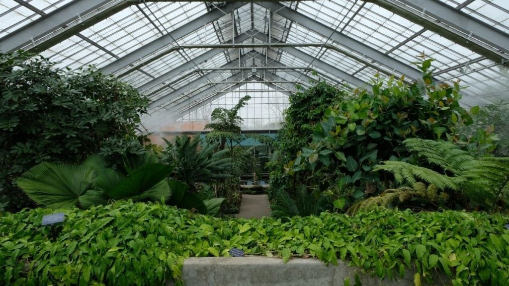 Chicago to Detroit Drive. In photo: Conservatory at Matthaei Botanical Gardens, Ann Arbor, Michigan