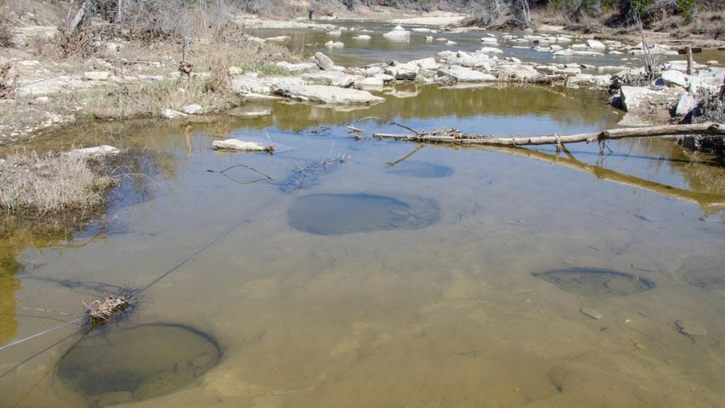 Dinosaur Tracks in the Paluxy River at Dinosaur Valley State Park